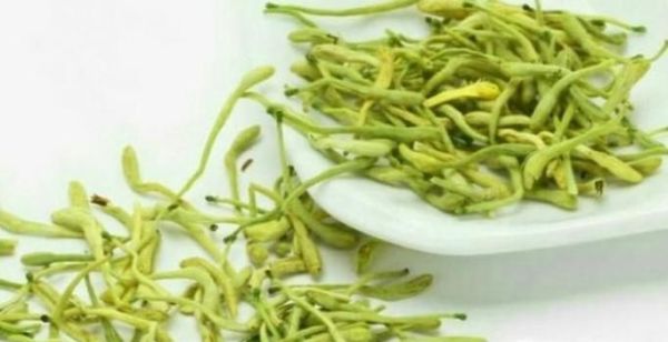 夏天有那些不错的茶可以喝的？清热去火茶叶