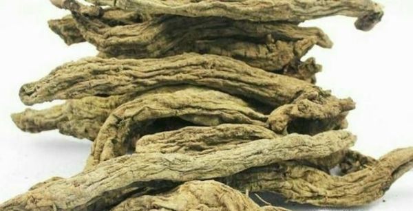 夏天有那些不错的茶可以喝的？清热去火茶叶