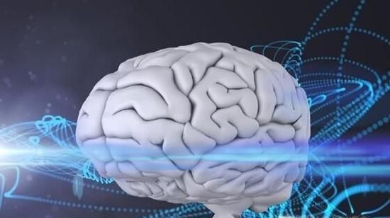 补脑的食物有哪些？健脑食品有哪些