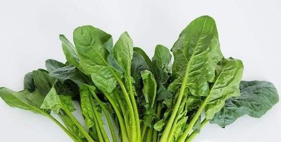 补脑的食物有哪些？健脑食品有哪些