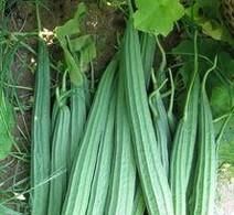 天气炎热没有食欲 吃什么蔬菜水果比较好？