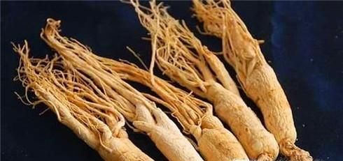 常见的人参种类