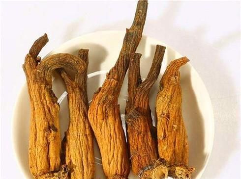 常见的人参种类