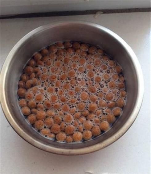 狗狗换狗粮拉稀 狗狗换粮拉肚子怎么办