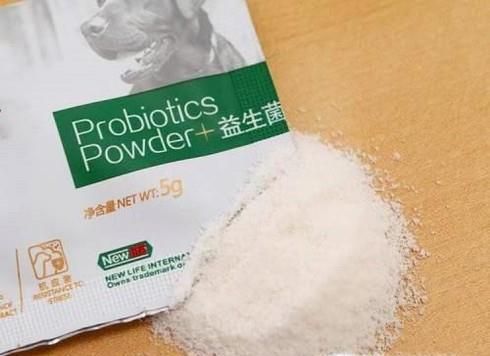 狗狗换狗粮拉稀 狗狗换粮拉肚子怎么办