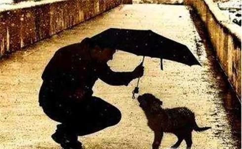 怎样做一个遵纪守法的公民