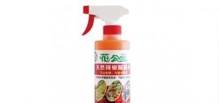 月季花上的绿色小虫子怎么杀