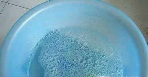 月季花上的绿色小虫子怎么杀