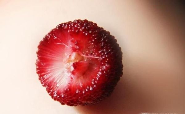 杨梅如何进行选择？