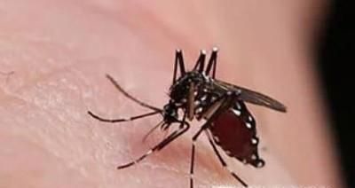 蚊虫叮咬后如何快速止痒