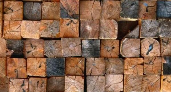 家庭的白蚁防治方法