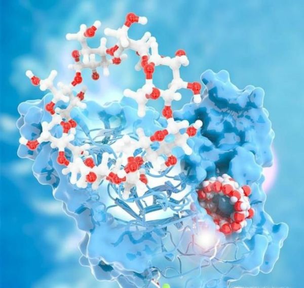 白色衣物有效除锈的一个小妙招