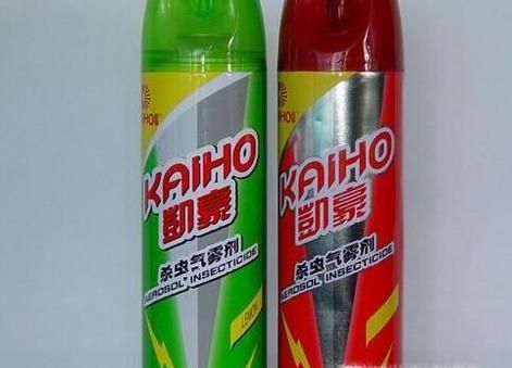 家里发现小强怎么办？怎么消灭蟑螂