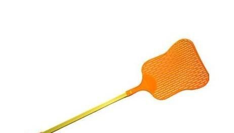 家里发现小强怎么办？怎么消灭蟑螂