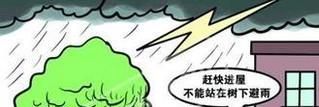 雷雨天气安全知识须知