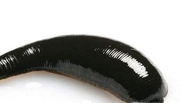 如何抓更多水蛭？