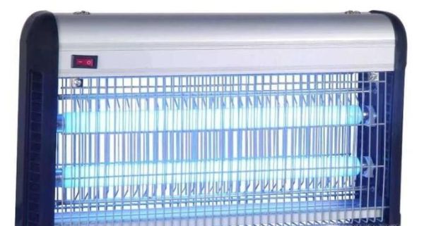 屋里飞虫多怎么办？