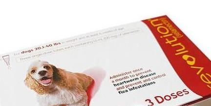 福来恩和大宠爱的区别