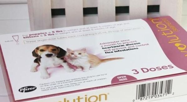 福来恩和大宠爱的区别