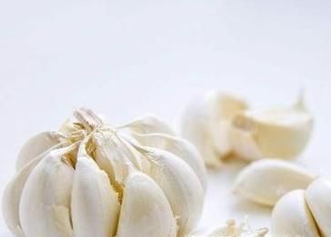 简单有效而又健康的驱蚊方法