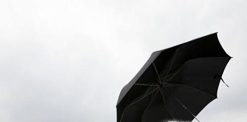 雨伞的结构分布