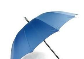 雨伞的结构分布