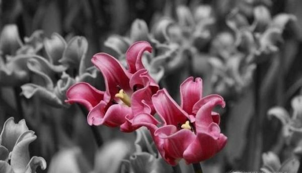 如何才能成为一个越来越厉害的人？