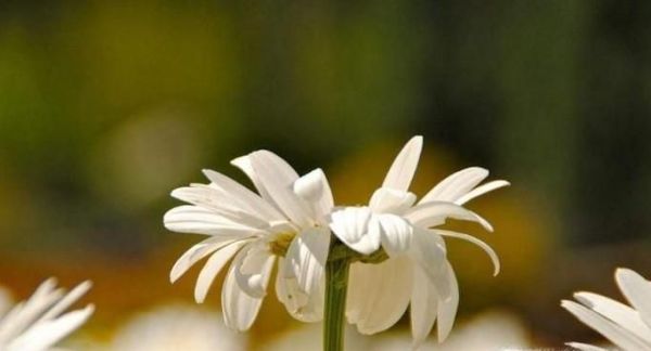 如何才能成为一个越来越厉害的人？