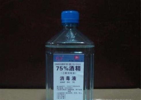 家里的盆栽生虫怎么办