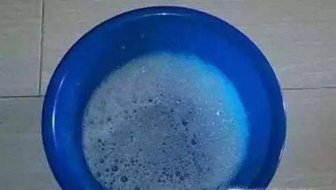 家里的盆栽生虫怎么办