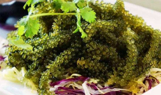 海葡萄要泡多久