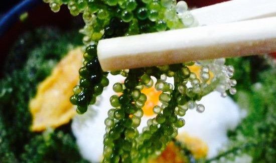 海葡萄要泡多久