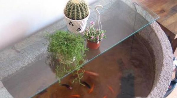 如何使用泥瓦缸养鱼