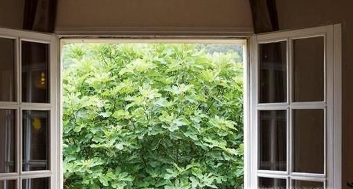 天气这么热, 长了痱子怎么办