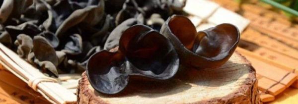 木耳泡了一晚上有毒吗