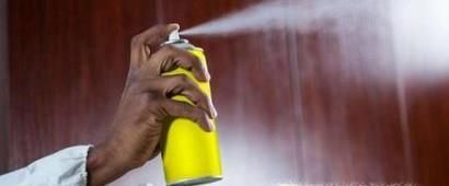 家里发现（水蚁）白蚁怎么办