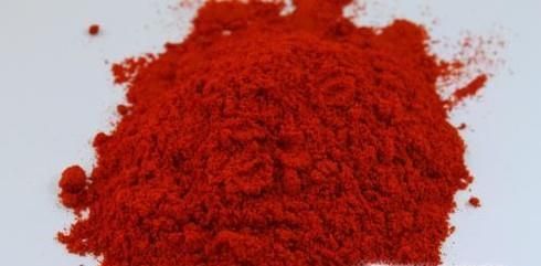 家里发现（水蚁）白蚁怎么办