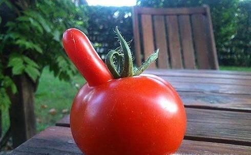 吃反季蔬果需要注意什么？