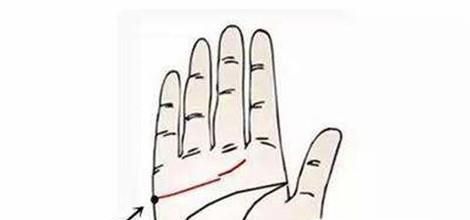 如何看待手掌心掌纹的三条主线？