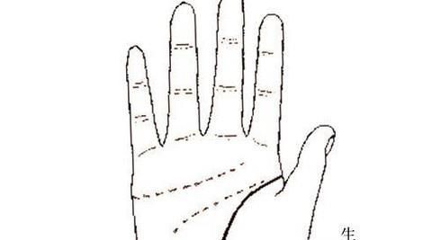 如何看待手掌心掌纹的三条主线？