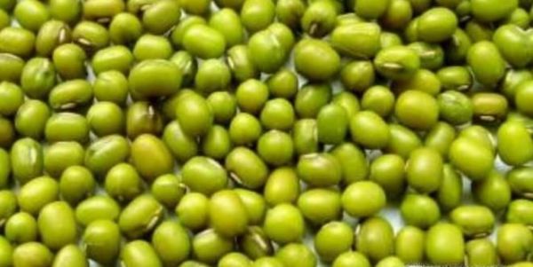 吃绿豆对身体有什么好处