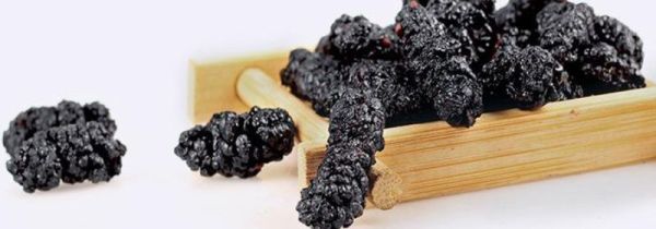 桑椹干能放冰箱冷冻吗