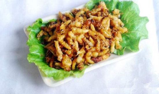 蜂蛹不能和什么东西一起吃