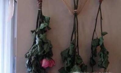 干花制作 如何制作玫瑰花干花？