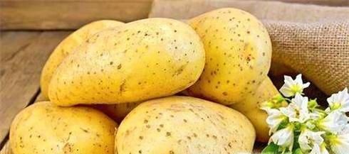 怎样练习切菜的刀工