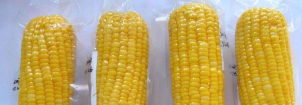 真空包装机怎么用