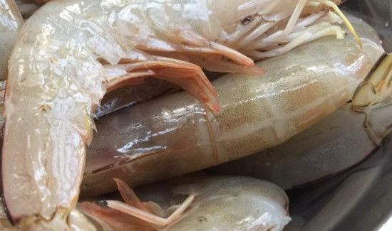 罗氏虾怎么去除虾线