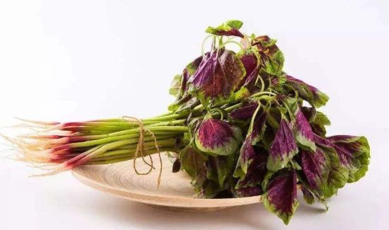 甲鱼和苋菜可以一起吃吗