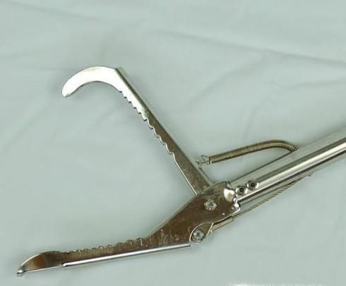 怎么抓蛇？自己怎么样制作抓蛇的工具