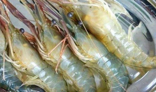 罗氏虾怎么清洗